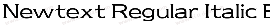 Newtext Regular Italic BT字体转换